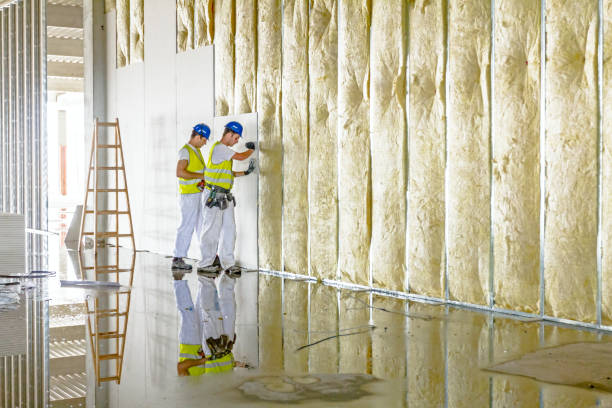 Best Commercial Insulation in Stoneville, NC